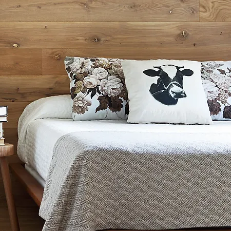 Artesa & Apartment *